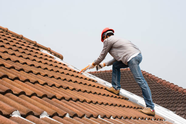 Best Metal Roofing Installation  in West Pelzer, SC